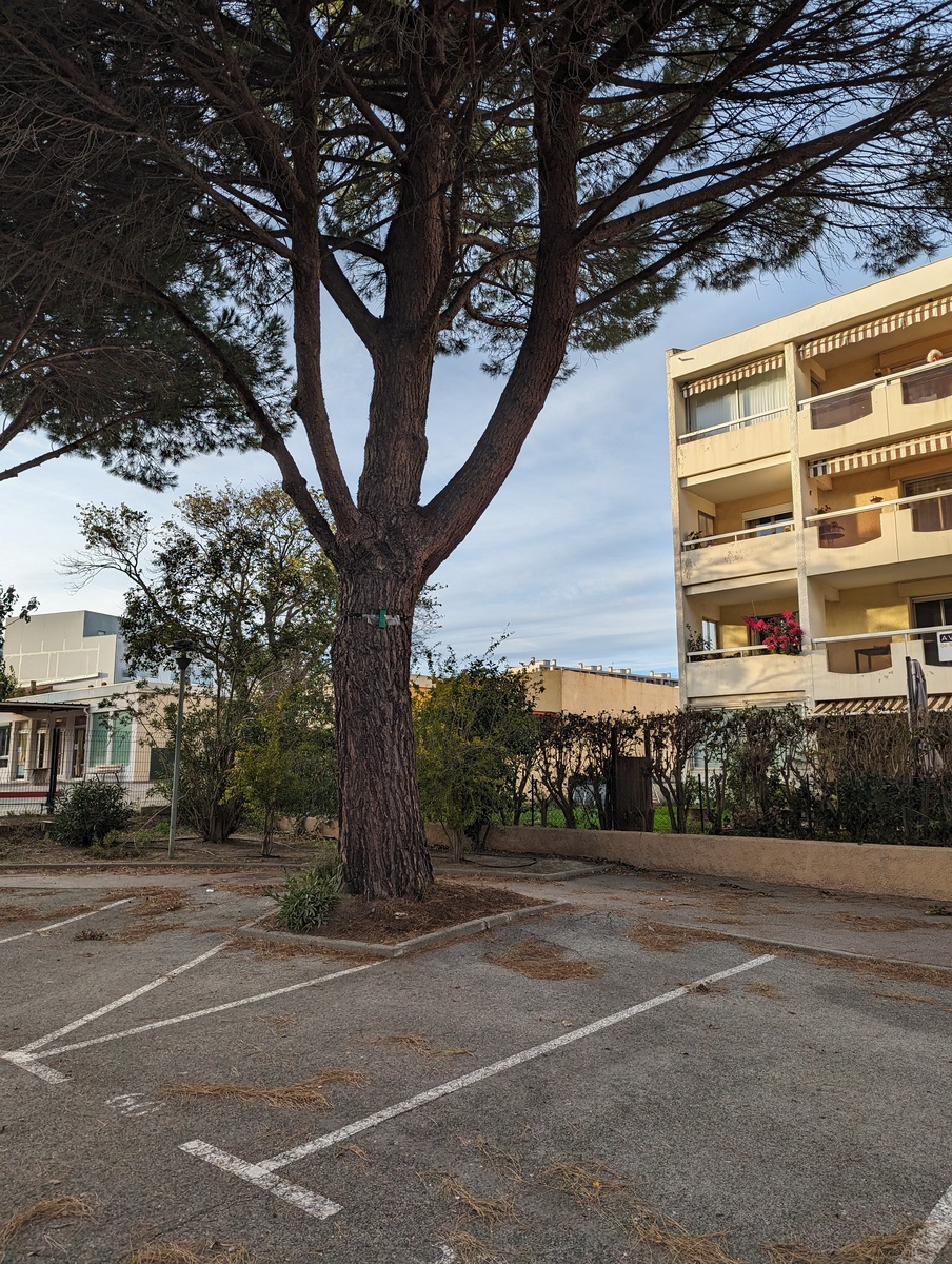 Appartement - Istres